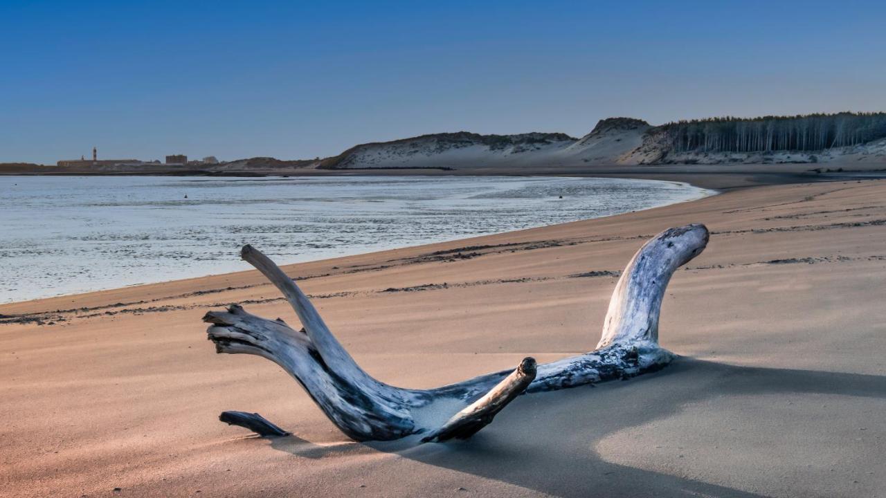 Berck Studio "Les Pieds Dans L'Eau" - 50M Front De Mer מראה חיצוני תמונה